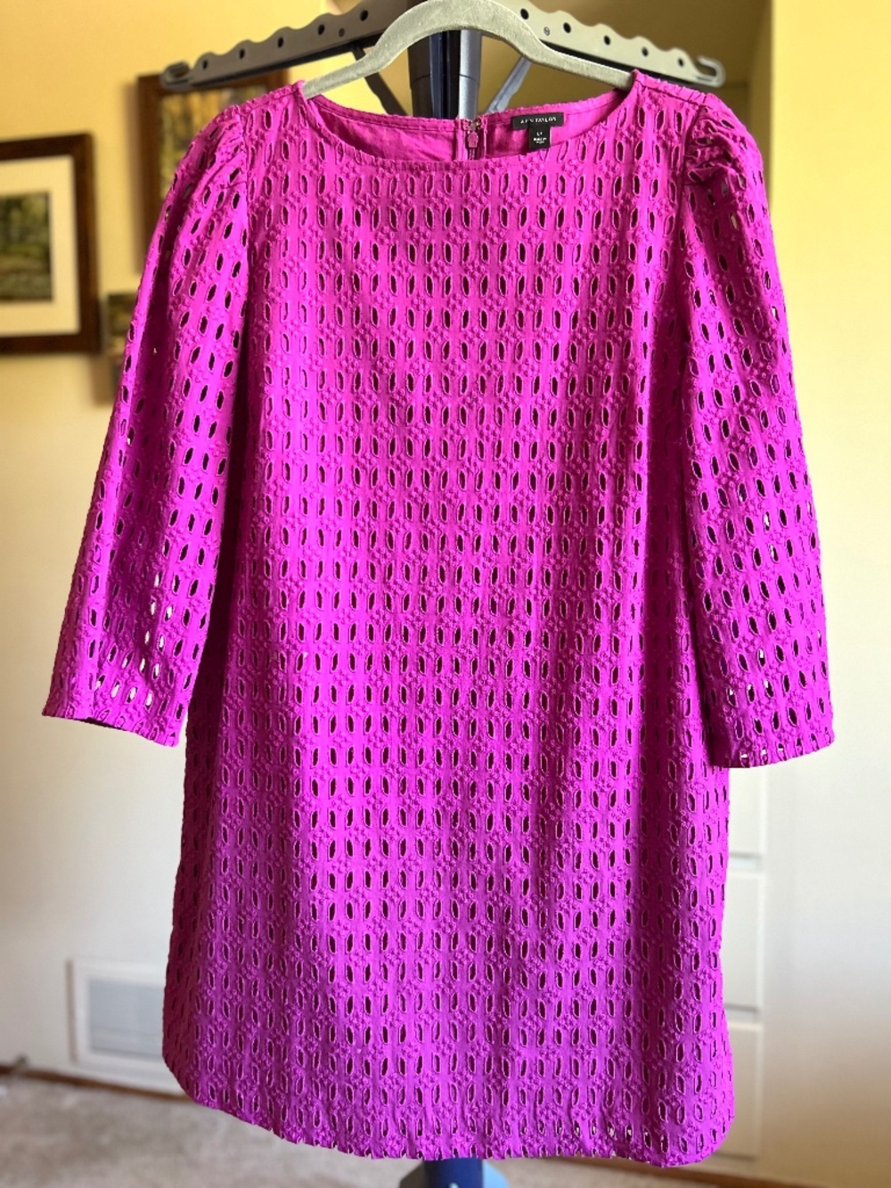Ann Taylor Fuchsia Eyelet Sundress